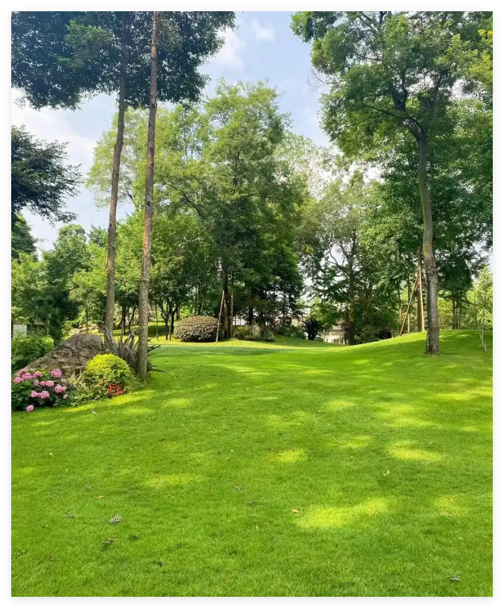 ����ͻ��app����԰��ح������ƺ���������ص���